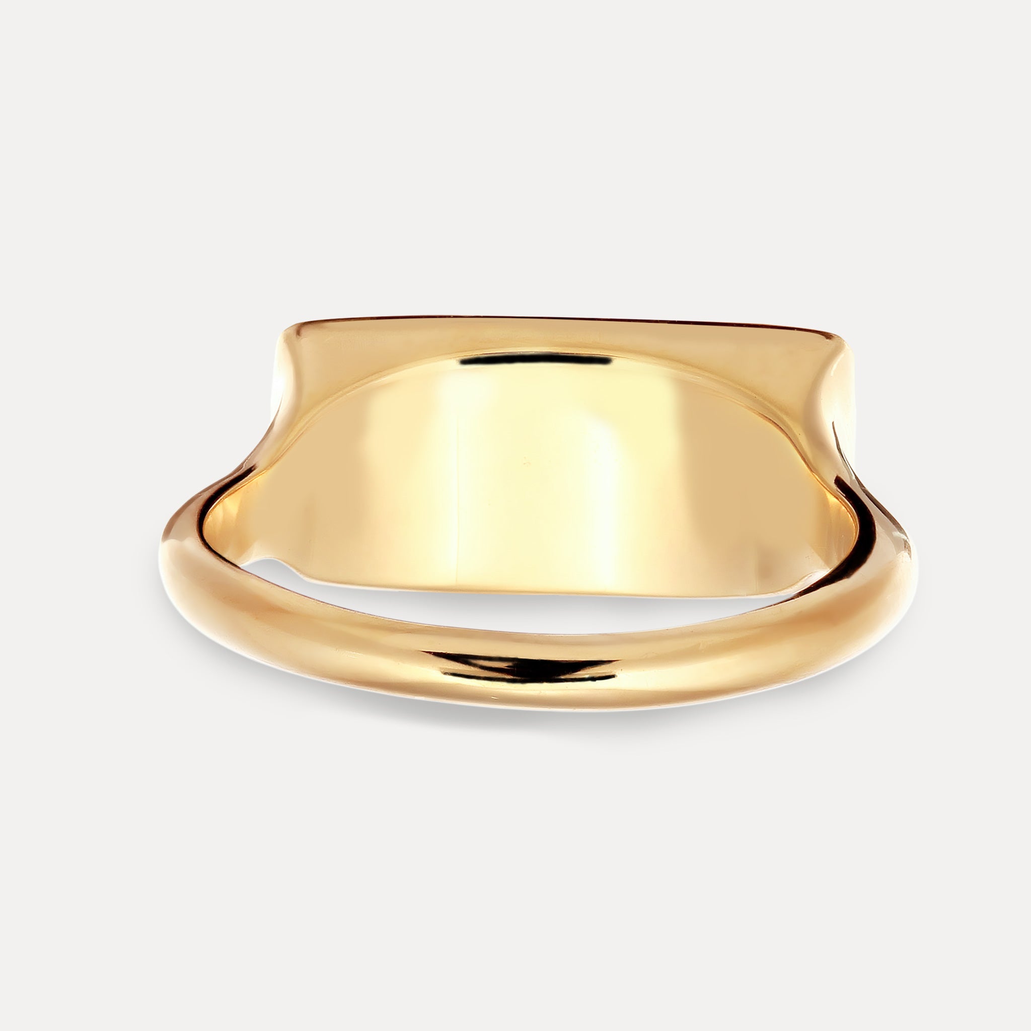 Stilnest Fish Siegelring 24k Gold Vermeil Gr 52