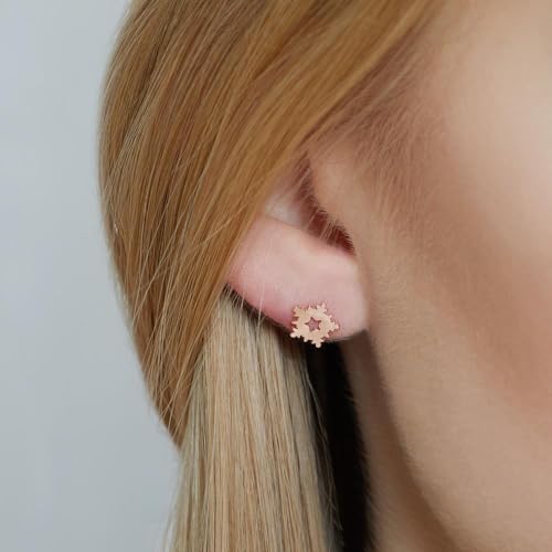 JEWLIX Schneeflocken Ohrstecker Rosé 925 Eiskristall