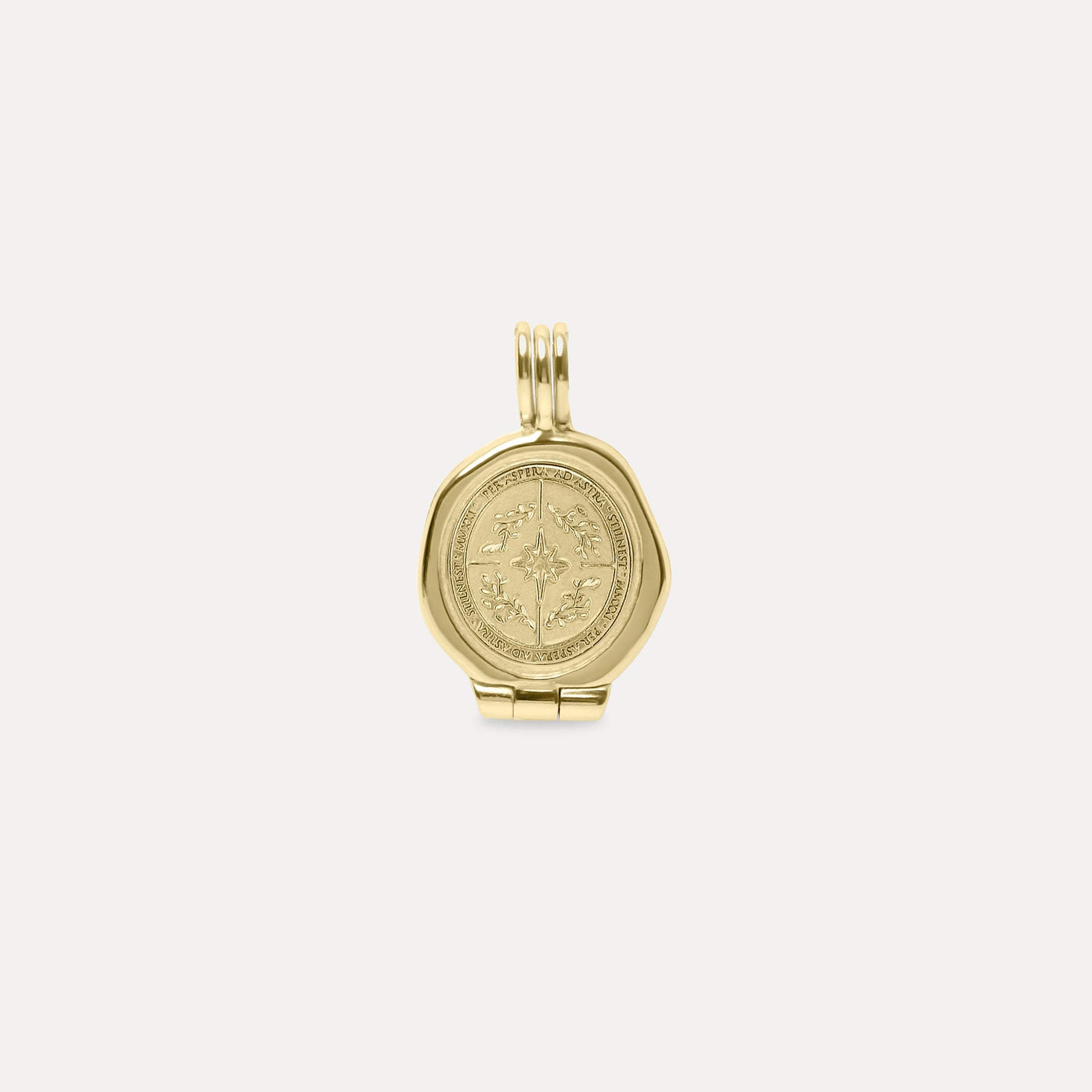 Stilnest Ad Astra Seal Medaillon Kette 585 Gold 45cm
