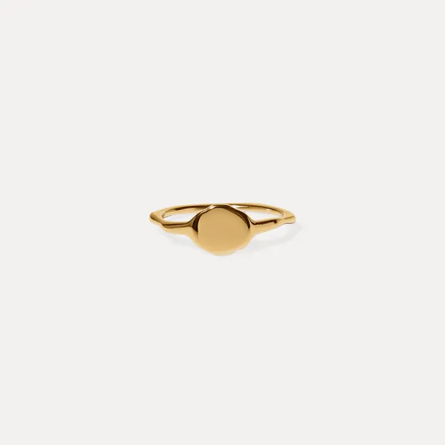 Stilnest Rings Fluid Siegelring Hochglanz 24k Gold Vermeil 52