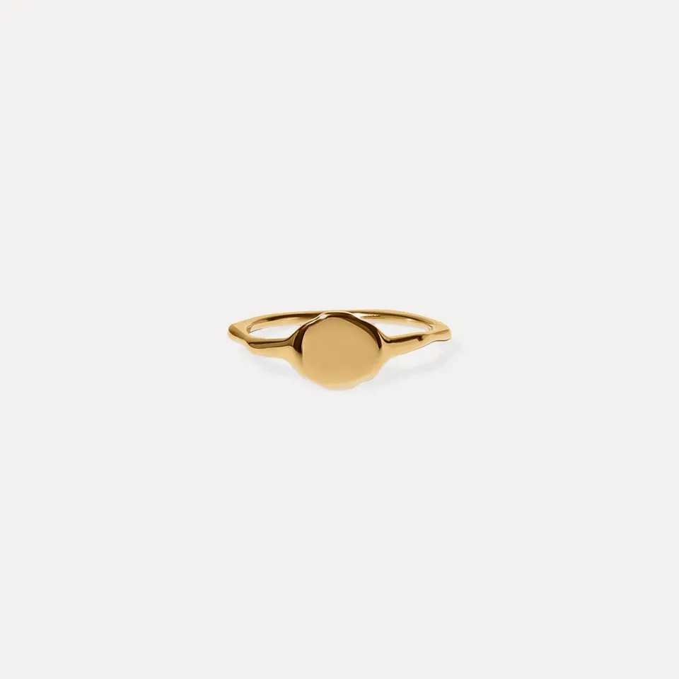 Stilnest Rings Fluid Siegelring Hochglanz 24k Gold Vermeil 52