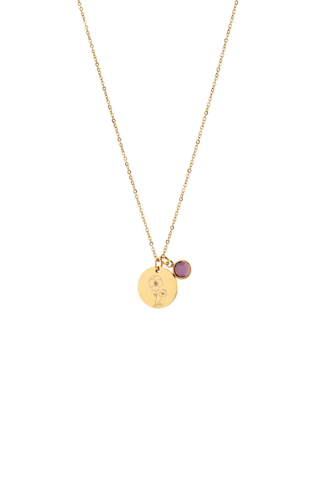 Joy by Corrine Smith February Birth Flower Halskette Gold Amethyst