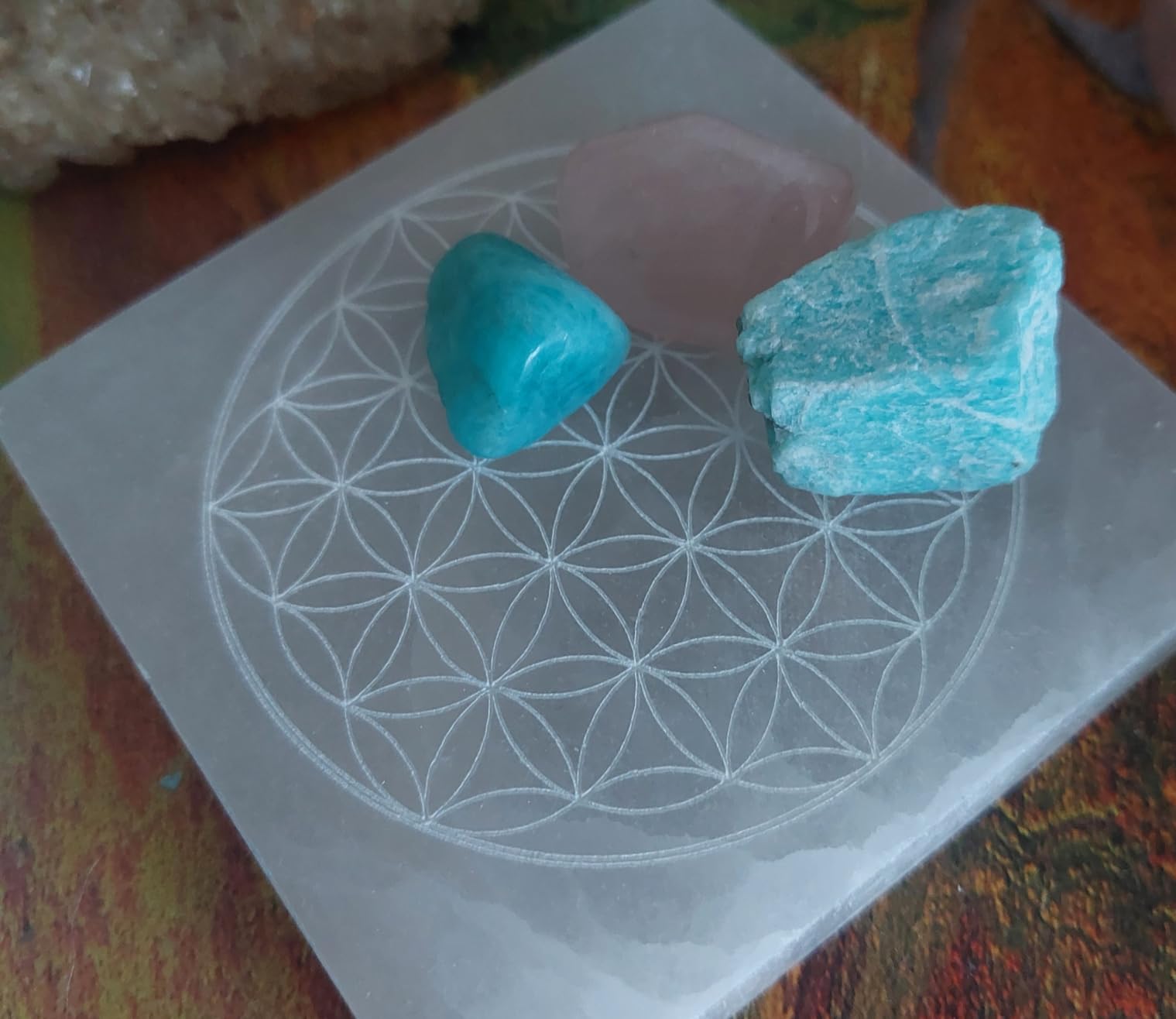 NKlaus Healing Crystals Selenit Ladeplatte Blume des Lebens