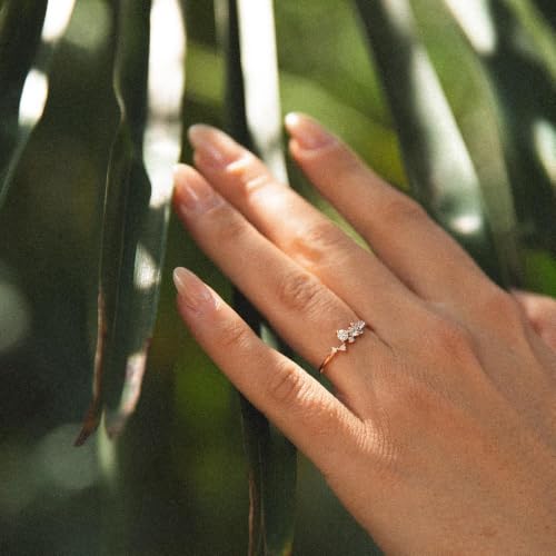 JEWLIX Ring Silber 925 rosévergoldet Zirkonia Gr. 52