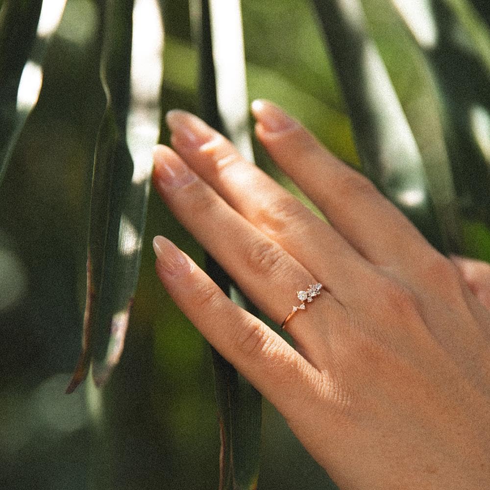 JEWLIX Ring Silber 925 rosévergoldet Zirkonia Gr. 52