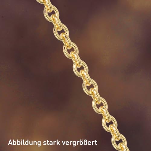 trendor 21835 Halskette Silber vergoldet Ankerkette 1,3 mm 40 cm