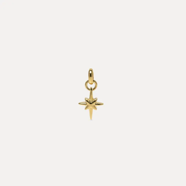Stilnest Star Light Anhänger Gold Vermeil Silber Stern