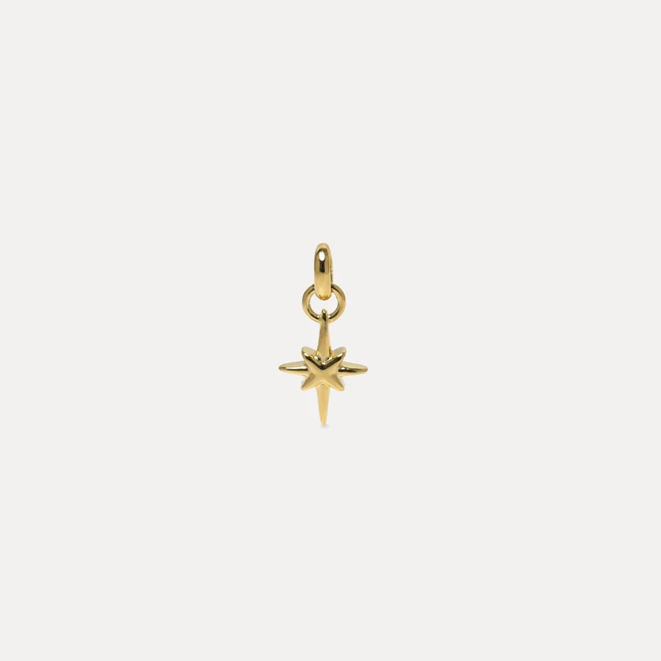 Stilnest Star Light Anhänger Gold Vermeil Silber Stern
