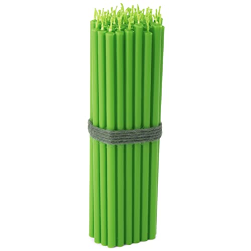 NKlaus Candles Stabkerzen Grün 16 cm 50 Stück Paraffin