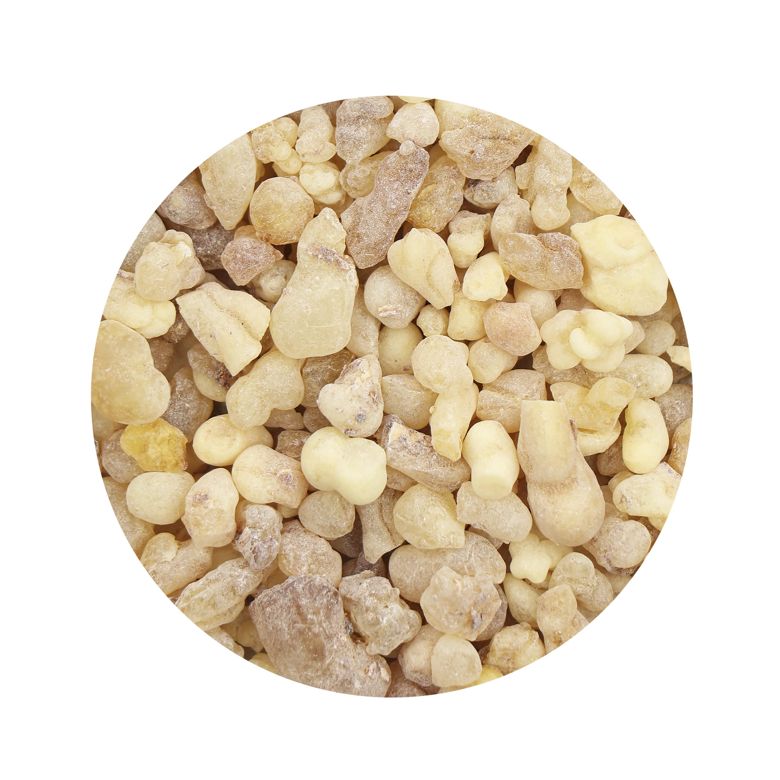 NKlaus HOME SCENTS Eritrea Weihrauch 100 g Boswellia papyrifera
